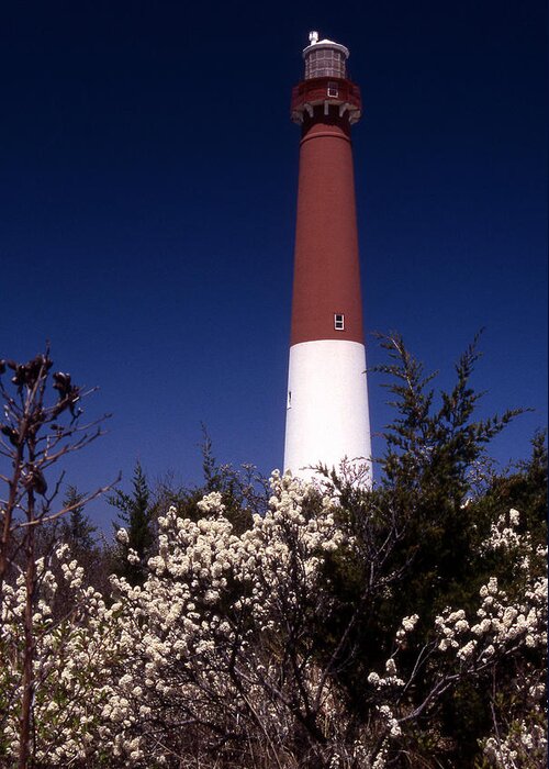 Lighthouses Greeting Card featuring the photograph Barnegat Tower by Skip Willits