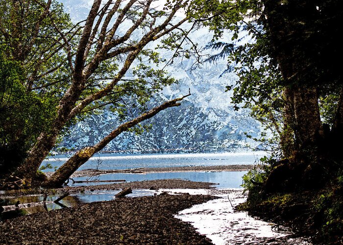 Creeks Greeting Card featuring the photograph Barnes Creek at Lake Crescent - Washington by Marie Jamieson