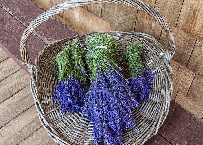 Lavender Greeting Card featuring the photograph Basket of lavender by Roni Chastain