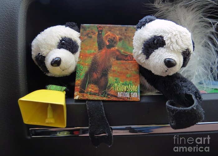 Yellowstone Greeting Card featuring the photograph Be Bear Aware. Travelling pandas series by Ausra Huntington nee Paulauskaite