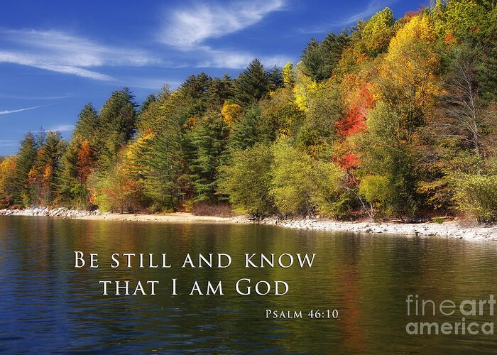 Forest Greeting Card featuring the photograph Be Still And Know That I Am God by Jill Lang