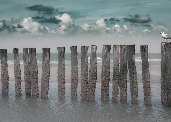 Windbreakers Greeting Card featuring the photograph Beach Bars by Bernardine De Laat
