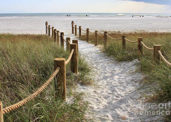 Beach Greeting Card featuring the photograph Beach Entrance by Jayne Carney