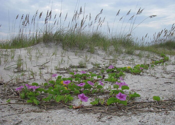 Beach Greeting Card featuring the Beach Flowers by Ellen Meakin