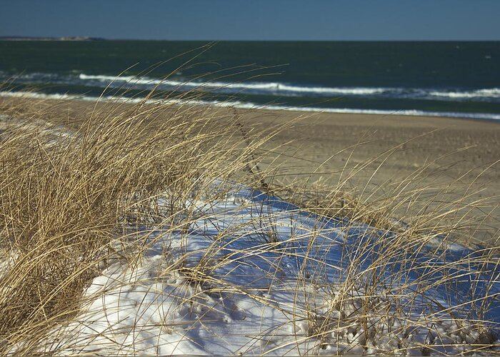 Beach Greeting Card featuring the photograph Beach Grass by Amazing Jules