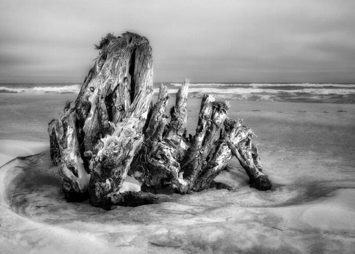 Outer Banks Greeting Card featuring the photograph Beach Monster 2 - Outer Banks BW by Dan Carmichael