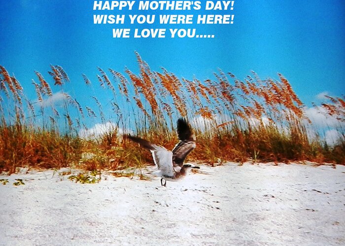 Happy Mother's Day From The Beach Of Beautiful White Sand Greeting Card featuring the photograph Beach Mother by Belinda Lee