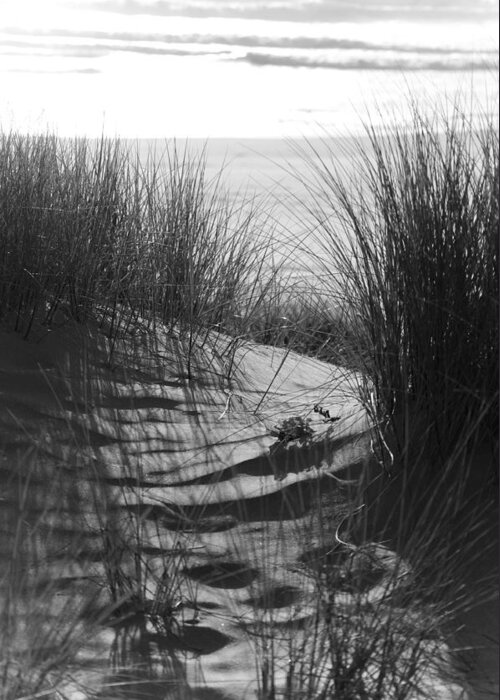Beach Greeting Card featuring the photograph Beachgrass by Adria Trail