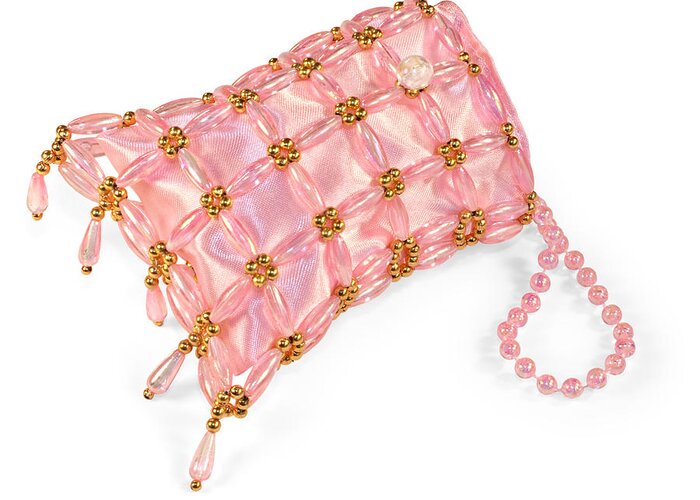 Dress Greeting Card featuring the photograph Beaded satin purse by Jo Ann Snover