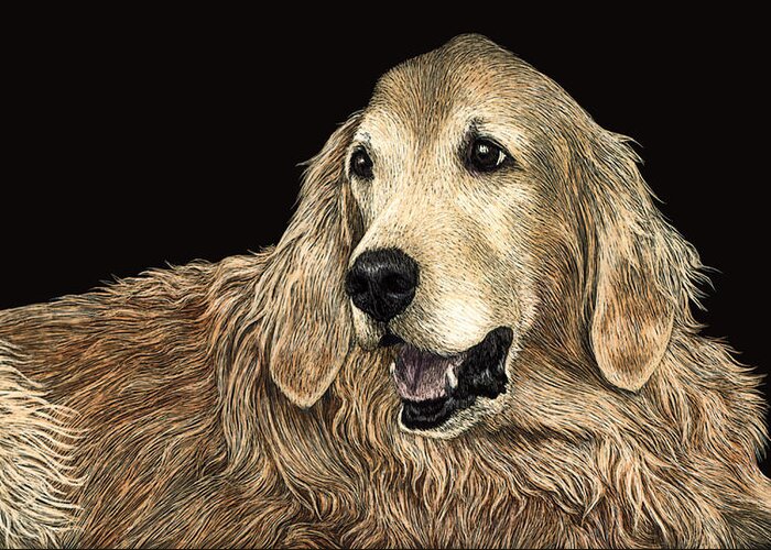 Dog Greeting Card featuring the drawing Bear by Ann Ranlett