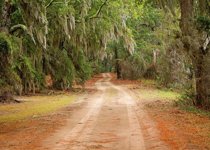 Tranquility Greeting Card featuring the photograph Beautiful Dirt Road by Daniela Duncan