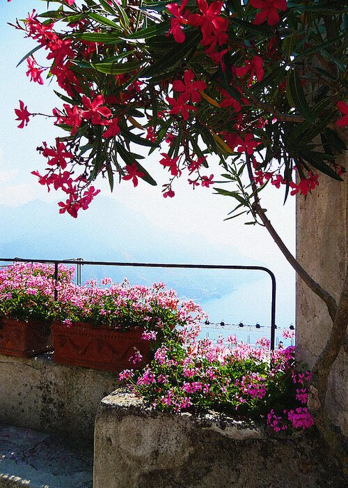 Italy Greeting Card featuring the photograph Beautiful Flowers Of Ravello Italy by Irina Sztukowski