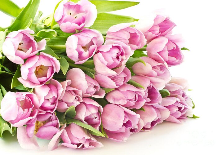 Beautiful Purple Tulips Greeting Card featuring the photograph Beautiful Purple Tulips by Boon Mee