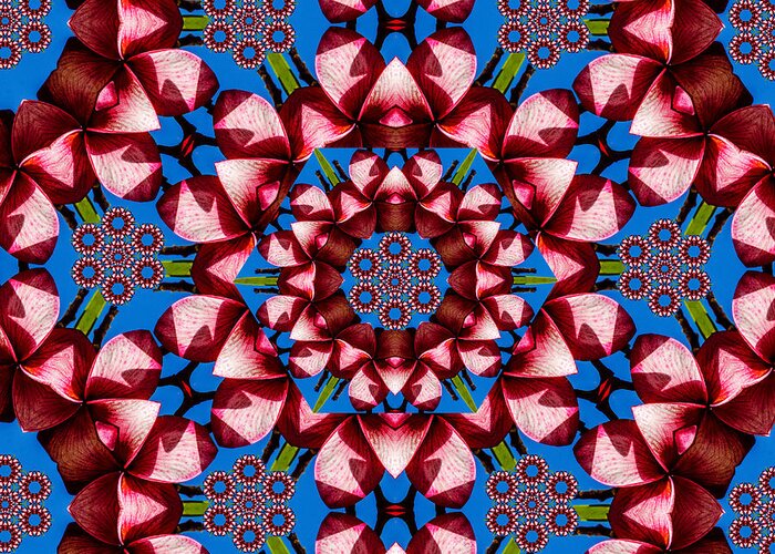 Kaleidoscope Greeting Card featuring the photograph Beauty Of Aruba Kaleidoscope by Judy Wolinsky