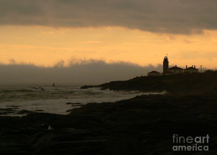 lighthouse Greeting Card featuring the photograph Beavertail-After The Storm by Butch Lombardi