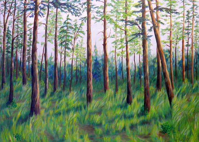 Forest Trees Fir Pine Cottonwoods Grass Dirt Green Brown Yellow Blue White Light Shadow Trails Sunshine Greeting Card featuring the painting Bella Coola Forest by Ida Eriksen
