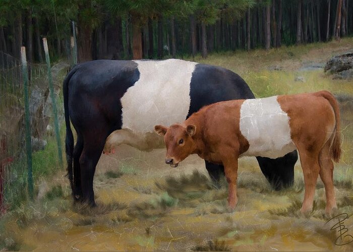 Agriculture Greeting Card featuring the digital art Belted cow and calf with texture by Debra Baldwin