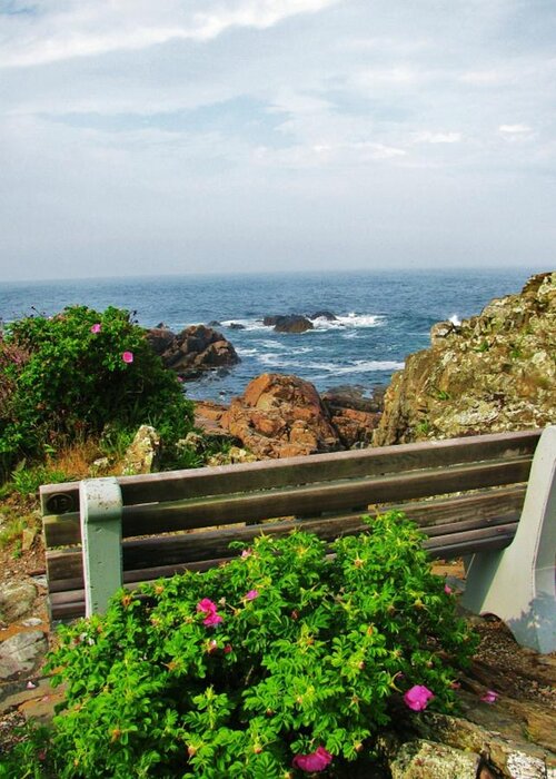 Ogunquit Greeting Card featuring the photograph Marginal Way by Diane Valliere