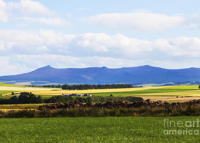 Field Greeting Card featuring the photograph Bennachie by Diane Macdonald
