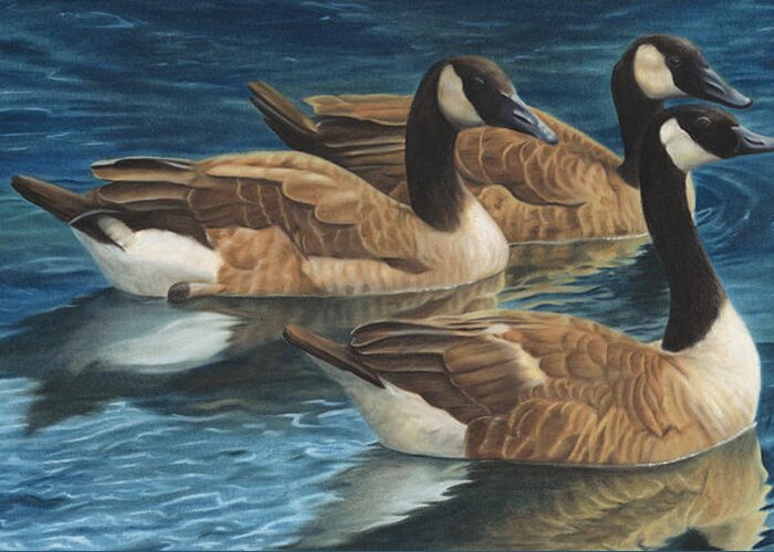 Canadian Geese Greeting Card featuring the painting Biding Time by Tammy Taylor