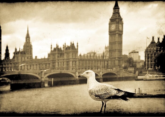 Pictorial Greeting Card featuring the photograph Big Ben and the Seagull by Jennifer Wright