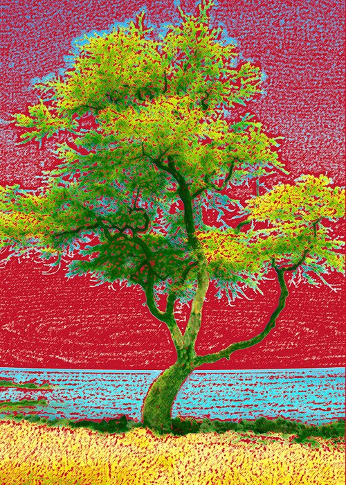 Landscape Greeting Card featuring the photograph Big Island Tree by Andre Aleksis