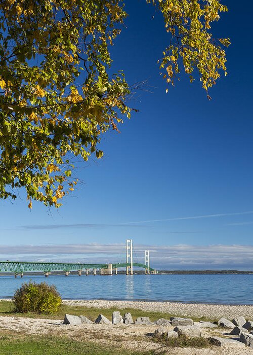 Bridge Greeting Card featuring the photograph Big Mackinac Bridge 57 by John Brueske