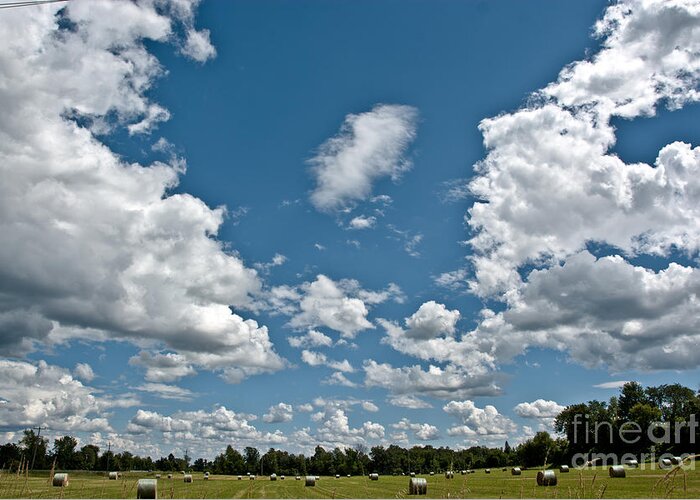 Sky Greeting Card featuring the photograph Big Sky by Cheryl Baxter