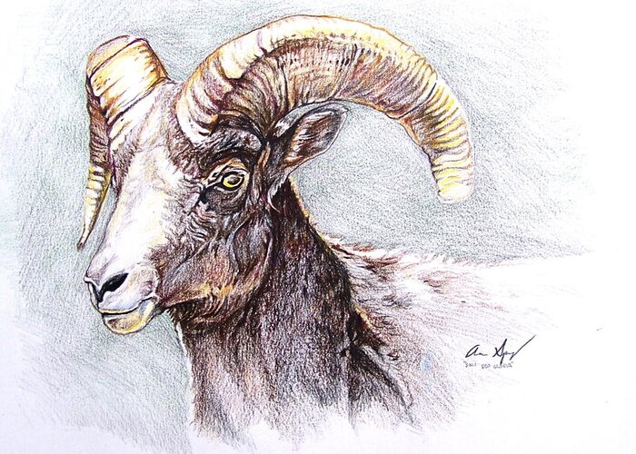 Sheep Greeting Card featuring the painting Bighorn Sheep by Aaron Spong