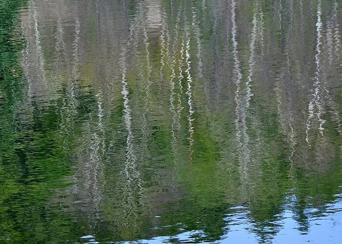 Pond Reflections Photographs Greeting Card featuring the photograph Birch Trees Reflected in Pond by Phyllis Meinke