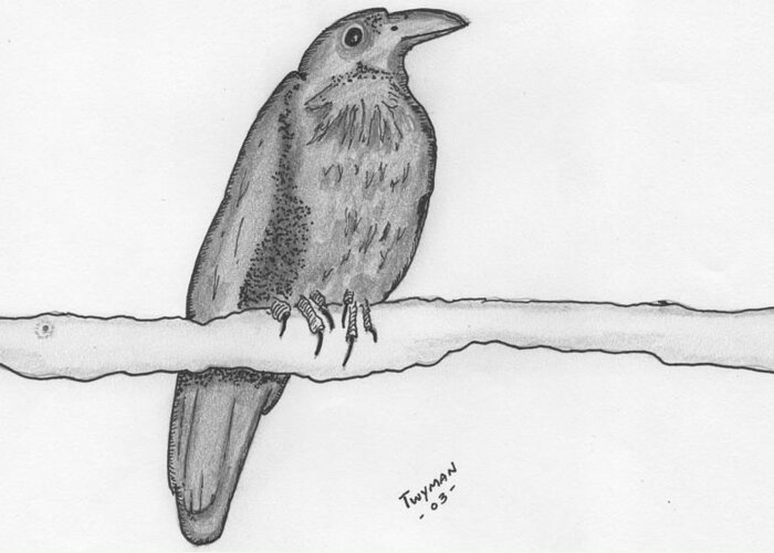 Bird Art Greeting Card featuring the drawing Bird 2 by Dan Twyman
