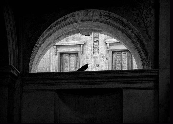 Bird Greeting Card featuring the photograph Bird in an Arch by Marianne Campolongo