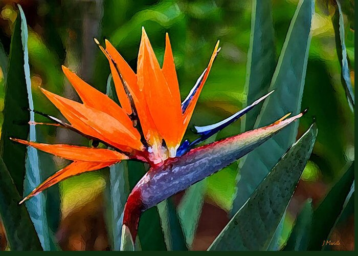 Bird Of Paradise Greeting Card featuring the digital art Bird of Paradise by J Marielle