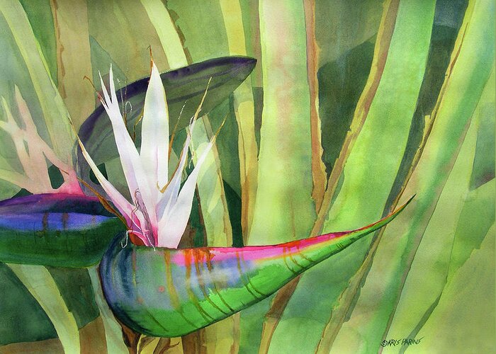 Kris Parins Greeting Card featuring the painting Bird of Paradise by Kris Parins