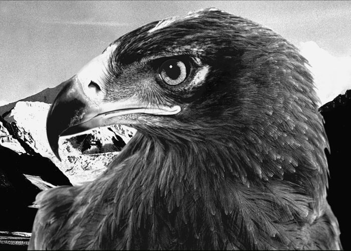 Eagle Greeting Card featuring the digital art Bird of Prey by Fred Leavitt