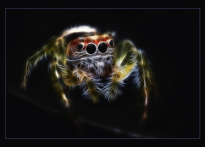 Jumping Spider Greeting Card featuring the photograph Bite me 03 by Kevin Chippindall