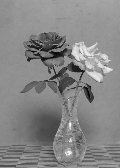 Black And White Greeting Card featuring the photograph Black and White Rose flowers on Grunge Background by Sheryl Caston