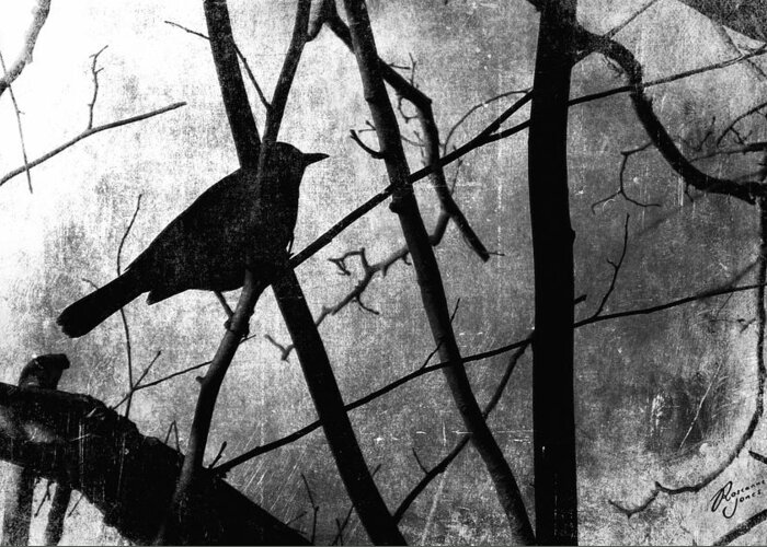 Textured Photograph Greeting Card featuring the photograph Black Bird by Roseanne Jones