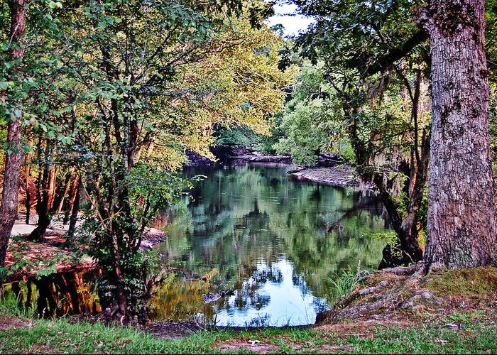 River Greeting Card featuring the photograph Black River Reflections by Linda Brown