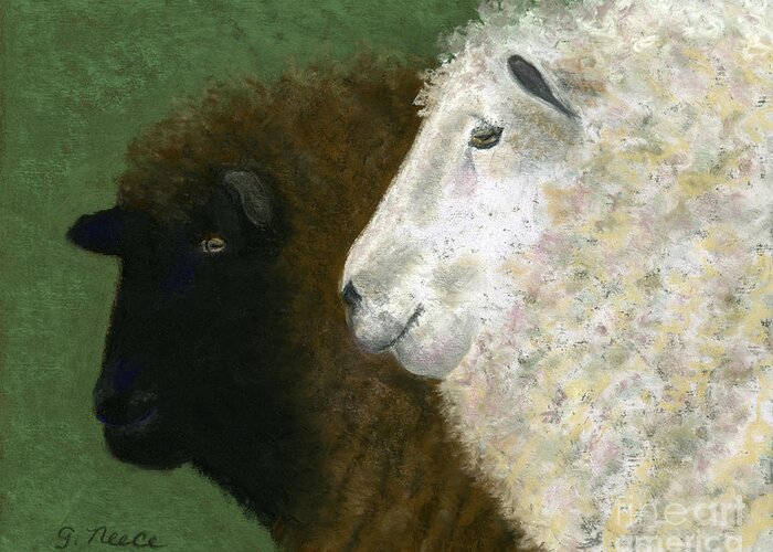 Sheep Greeting Card featuring the pastel Black Sheep White Sheep by Ginny Neece