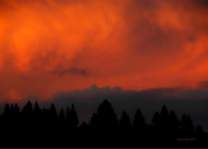 Fire Greeting Card featuring the photograph Blazing Sky by Donna Blackhall