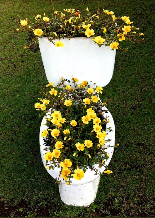 Toilet Greeting Card featuring the photograph Blooming Loo by Venetia Featherstone-Witty