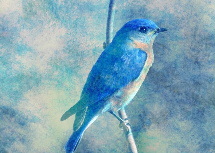 Bluebird Blue Sky Greeting Card featuring the digital art Blue Bird Blue Sky by Femina Photo Art By Maggie