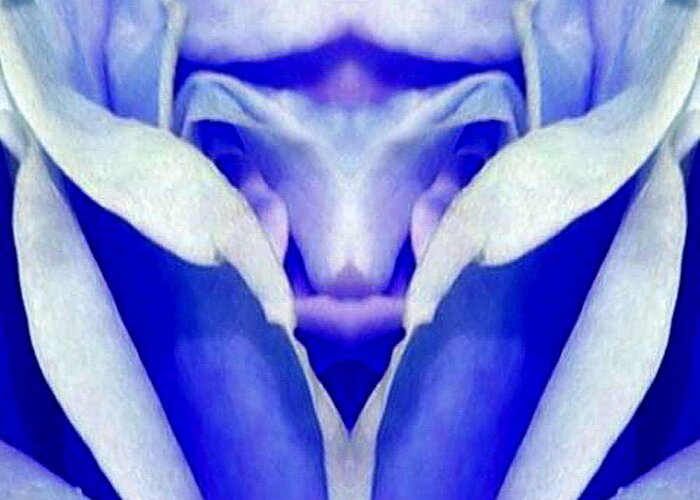 Blue Greeting Card featuring the digital art Blue Boy Flower by Mary Russell