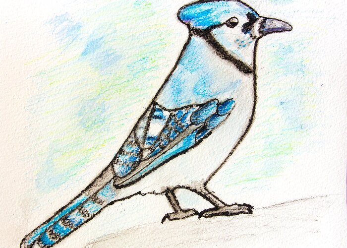 Watercolor Pencils Greeting Card featuring the drawing Blue Jay by Pati Photography