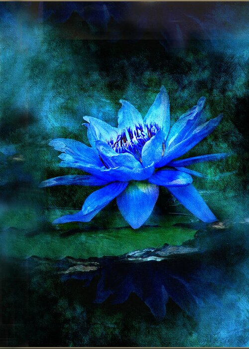 Blue Mist - Bill Voizin Greeting Card featuring the photograph Blue Mist by Bill Voizin 