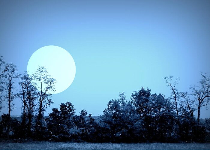 Trees Greeting Card featuring the photograph Blue Moon by Jodie Marie Anne Richardson Traugott     aka jm-ART