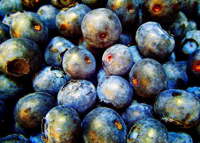 Blueberry Greeting Card featuring the photograph Blueberries E by Laurie Tsemak