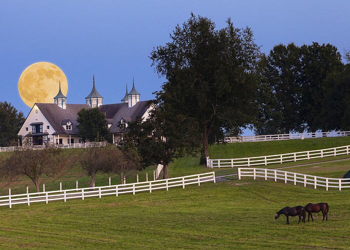 Farm Greeting Card featuring the photograph Bluegrass Moonrise by Alexey Stiop