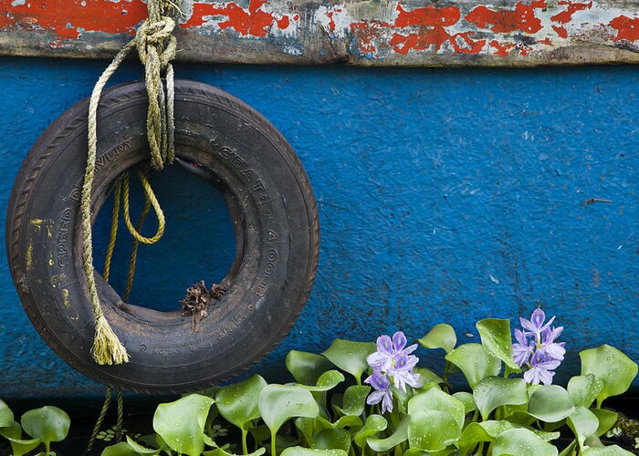 Backwaters Greeting Card featuring the photograph Boat Tire and Hyacinth by Sonny Marcyan